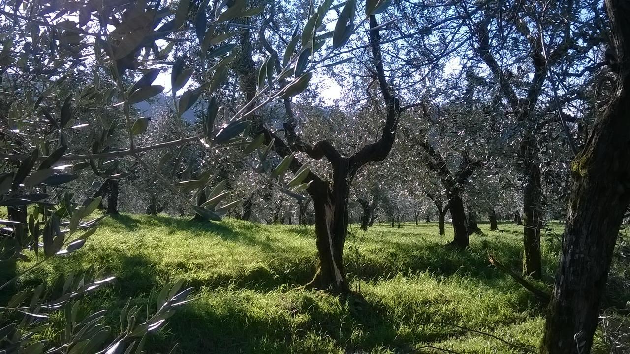 Villa Pacinotti Pistoia Exteriér fotografie