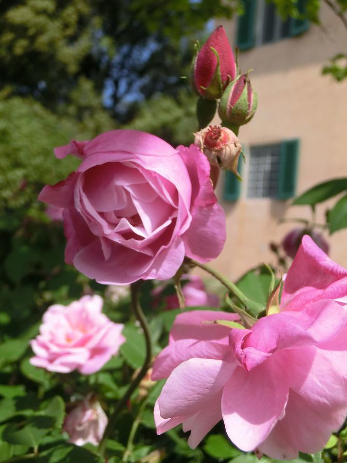 Villa Pacinotti Pistoia Exteriér fotografie